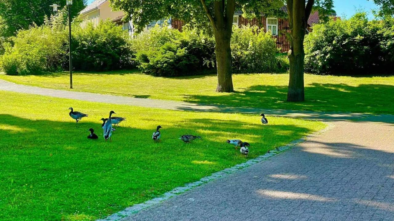 Gaestehaus Ambiente Am Kurpark Bad Sooden-Allendorf Esterno foto